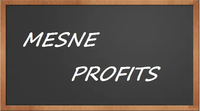 Mesne profits