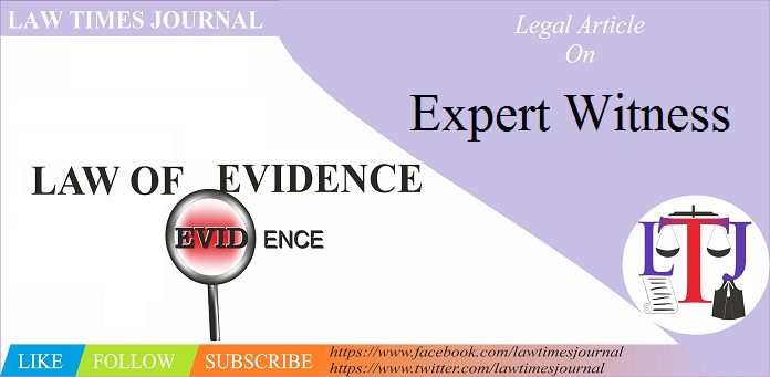 expert witness