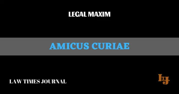 Amicus Curiae